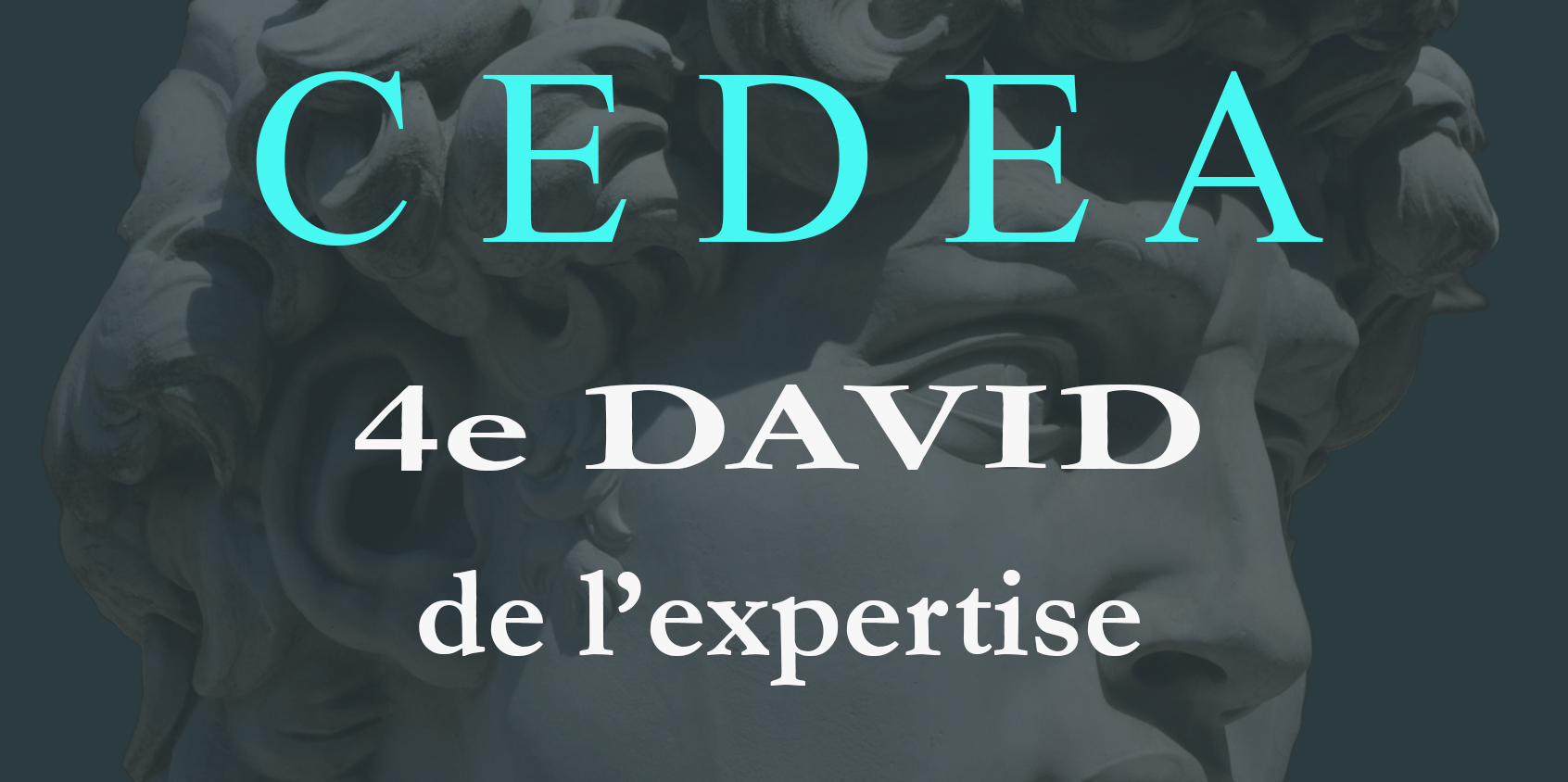 4ème DAVID de l'expertise